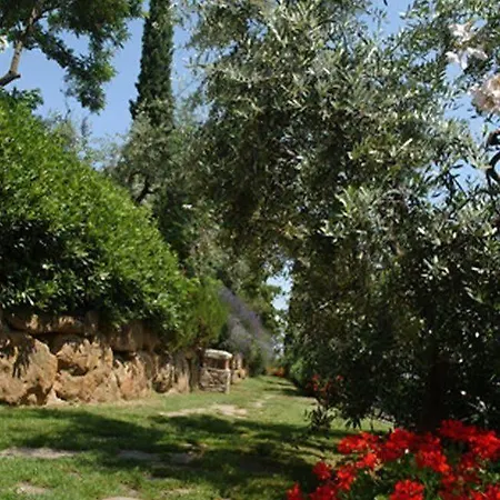 Corelli מונטאיונה